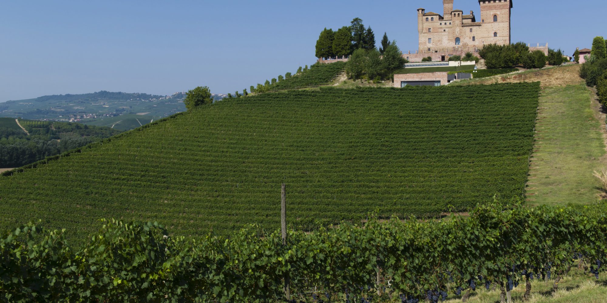 Langhe area has been recently included in the UNESCO World Heritage list